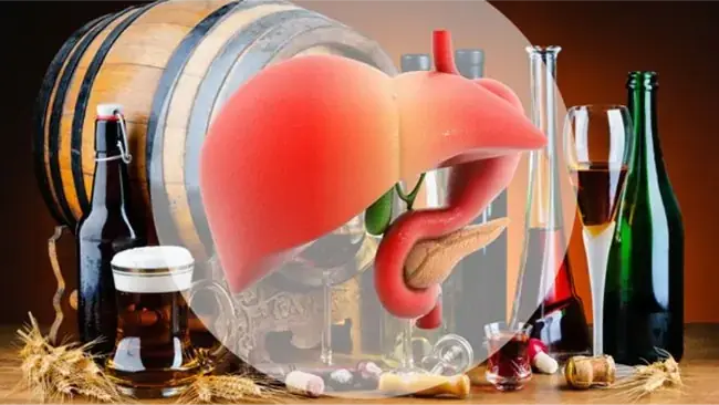 Giải pháp thải độc bia rượu: Đột phá mới bảo vệ gan